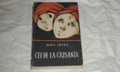 GICA IUTES - CEI DE LA CRISANTA foto