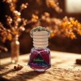 Odorizant Auto Amintiri de Drum Diamond , Royal Cinnamon 8 ml Caldura