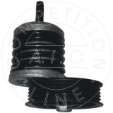 AIC 51444 Calitatea originală AIC Intinzator curea, curea distributie