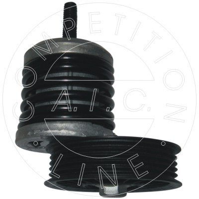 AIC 51444 Calitatea originală AIC Intinzator curea, curea distributie foto