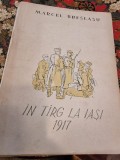 Marcel Breslasu - In targ la Iasi