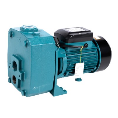 Pompa de suprafata Micul Fermier, JET, 1.5KW, adancime 45m DP750A GF-2056 foto