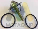MOTAQUIP LVTK227 termostat,lichid racire