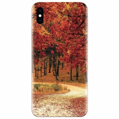 Husa silicon pentru Apple Iphone XS Max, Autumn foto