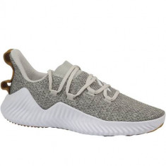 Pantofi Barbati Adidas Alphabounce Trainer D96705 foto