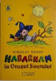 Habarnam in Orasul Soarelui - Nikolai Nosov, Carte Copii, Povesti
