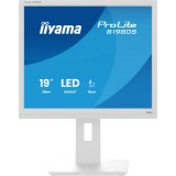Monitor Iiyama B1980S-W1 19&quot;