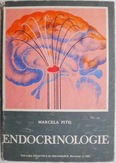 Endocrinologie &ndash; Marcela Pitis