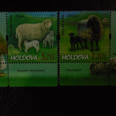 Moldova-Rase de oi-serie completa -nestampilate