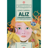 Aliz Csodaorsz&aacute;gban &eacute;s a t&uuml;k&ouml;r m&aacute;sik oldal&aacute;n - Lewis Carroll