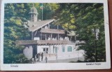 Carte postala, Sinaia, Castelul Foisor, 1929