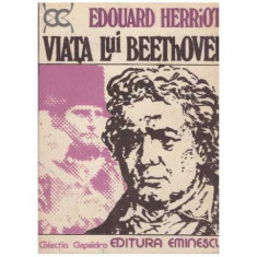 Viata lui Beethoven foto