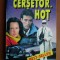 Irwin Shaw - Cersetor, hot