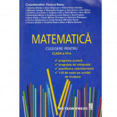 Autor colectiv - Matematica - culegere pentru clasa a VI-a - 133764