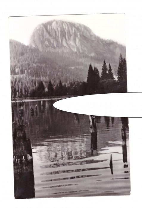 CP Lacul Rosu - Vedere spre Suhardul Mic, RPR, circulata, 1963, stare foarte bun