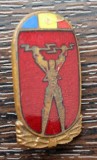 INSIGNA ROMANIA - INTREPRINDREREA DE RETELE ELECTRICE - IRE, Romania de la 1950