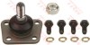 Pivot FIAT DUCATO caroserie (290) (1989 - 1994) TRW JBJ187