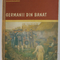 GERMANII DIN BANAT , coordonator SMARANDA VULTUR , 2000