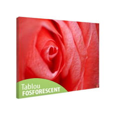 Tablou fosforescent Trandafir in detaliu