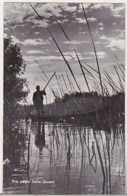 bnk cp Prin baltile Deltei Dunarii - Vedere - necirculata foto