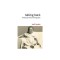 Talking Back: Thinking Feminist, Thinking Black