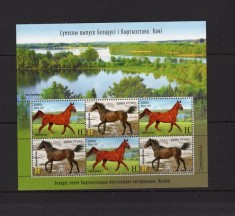 BELARUS 2017 FAUNA ANIMALE DOMESTICE CAI