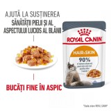 Royal Canin Hair&amp;Skin Care Adult hrana umeda pisica, piele si blana (in aspic),