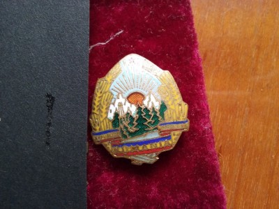 Insigna R.S.R. foto
