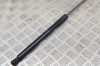 Amortizor haion st&acirc;nga VW GOLF VII 5G1, BQ1, BE1, BE2 2017 OEM: 5G6827550C 12120445