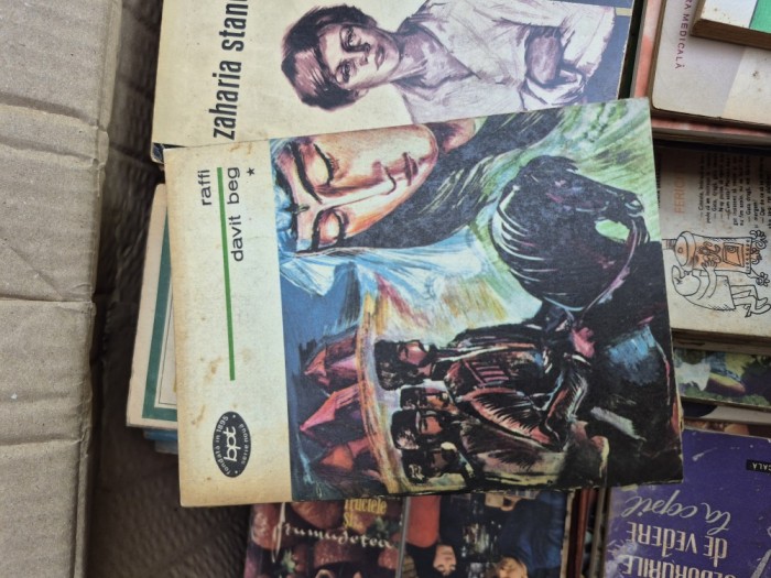 Davit beg 1 vintage