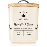 DW Home Farmhouse Pecan Pie &amp; Cream lum&acirc;nare parfumată 241 g