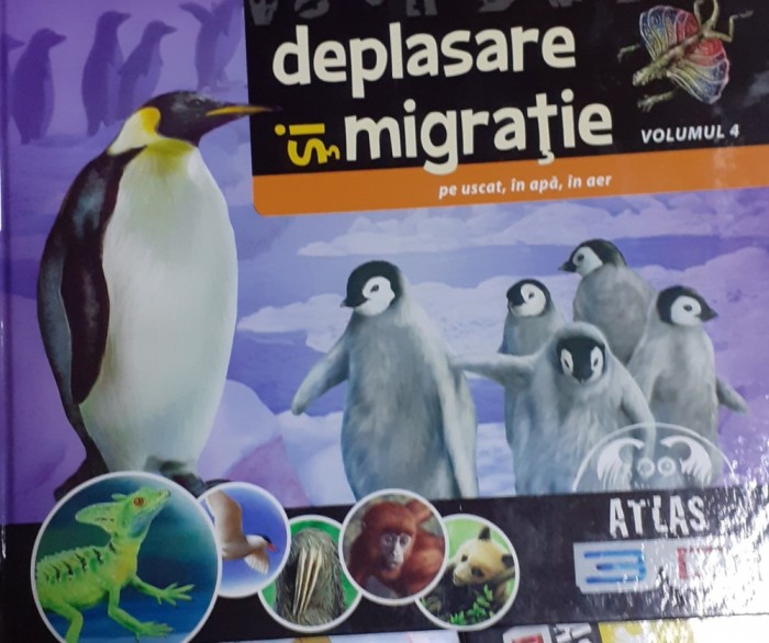 DEPLASARE SI MIGRATIE, PE USCAT, IN APA, IN AER VOL.4.