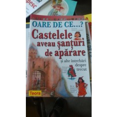 Oare de ce...? (castelele aveau santuri de aparare si alte intrebari despre trecut)