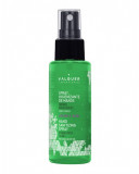 Spray igienizant hidroalcolic pentru maini cu aloe Valquer 100ml