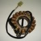 Stator Generator Honda CB500 PC26 PC32 94-06 CBF500 04-06