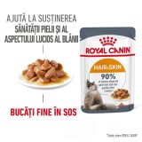 Royal Canin Hair&amp;Skin Care Adult hrana umeda pisica, piele si blana (in sos), 1