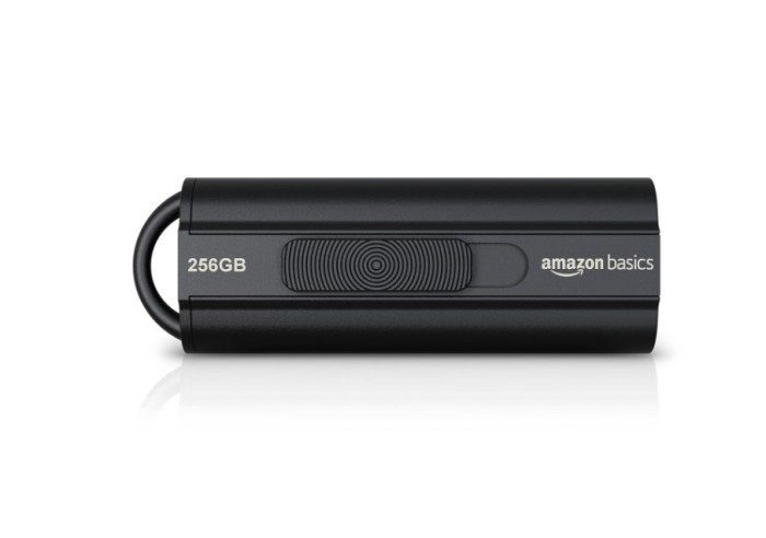 Memorie USB 3.1 ultrarapida de 256 GB Amazon Basics, negru - RESIGILAT