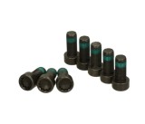 Set surub volanta Luk 411013311