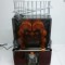 Storcator profesional citrice