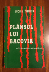 Lucian Tamaris - Plansul lui Bacovia. O interpretare psihanalitica (2007) foto