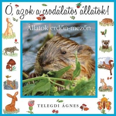 &amp;Oacute;, azok a csod&amp;aacute;latos &amp;aacute;llatok - &amp;Aacute;llatok erdőn-mezőn - Telegdi &amp;Aacute;gnes foto