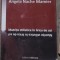 Angela Nache Maimer - Matrite Stilistice din Lirica de Azi