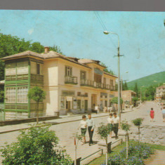 CPIB 17232 CARTE POSTALA - SOVATA, STRADA TRANDAFIRILOR