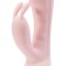 Vibrator Rabbit Master Flirtation, Roz, 21 cm