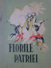 FLORILE PATRIEI. ANTOLOGIE DE CREATIE LITERARA PIONIEREASCA-COLECTIV