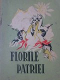 FLORILE PATRIEI. ANTOLOGIE DE CREATIE LITERARA PIONIEREASCA-COLECTIV-234591
