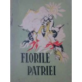 FLORILE PATRIEI. ANTOLOGIE DE CREATIE LITERARA PIONIEREASCA-COLECTIV-234591