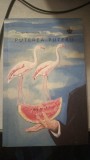 Puterea Puterii - Reiner Neumann, 2015