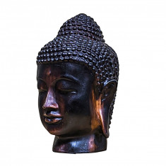 Serenity Buddha Head, M