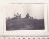 Bnk foto Filipesti Targ - ruinele palatului Cantacuzino, Alb-Negru, Romania de la 1950, Cladiri